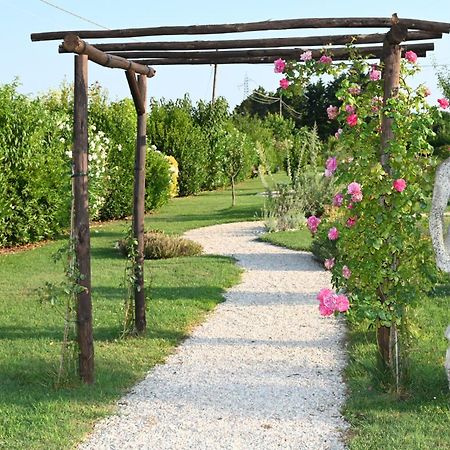 I Delfini - Natural B&B Чезенатико Екстериор снимка